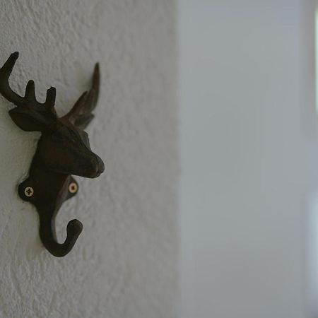 No 19 In The Black Forest St. Blasien Extérieur photo