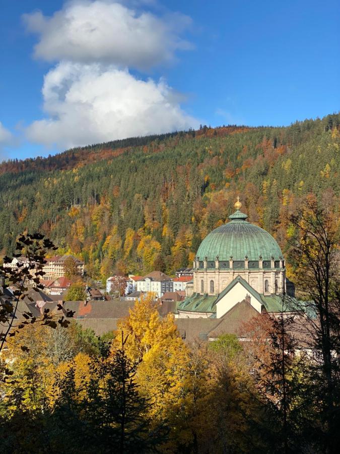 No 19 In The Black Forest St. Blasien Extérieur photo
