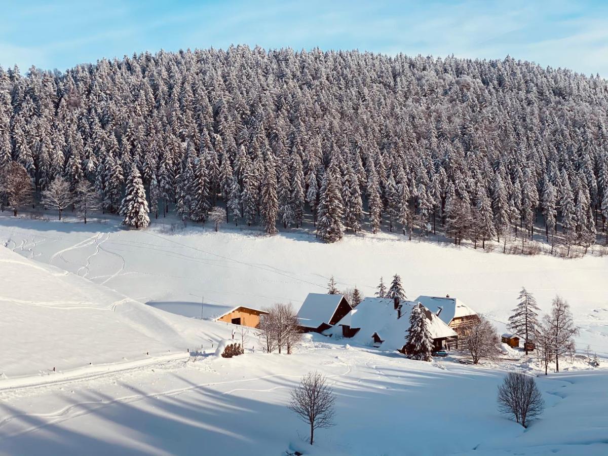 No 19 In The Black Forest St. Blasien Extérieur photo